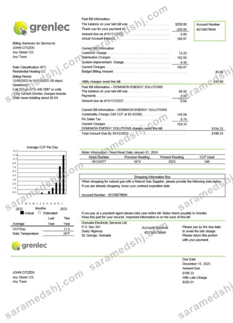 Grenada Electricity Services utility bill Word and PDF template